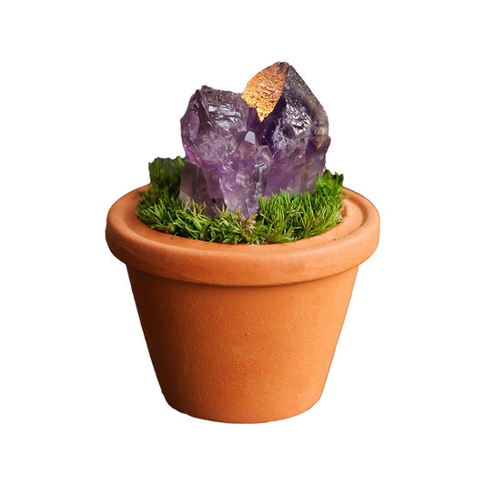 DIY Crystal Flower Pot Bonsai